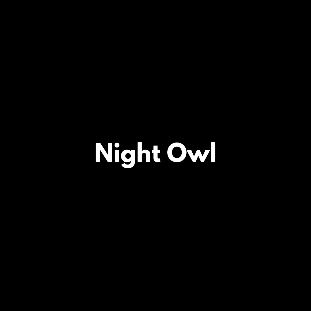 Night Owl image 2