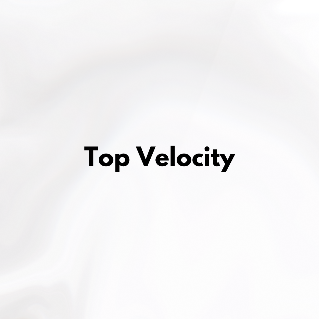 Top Velocity Top Coat image 2