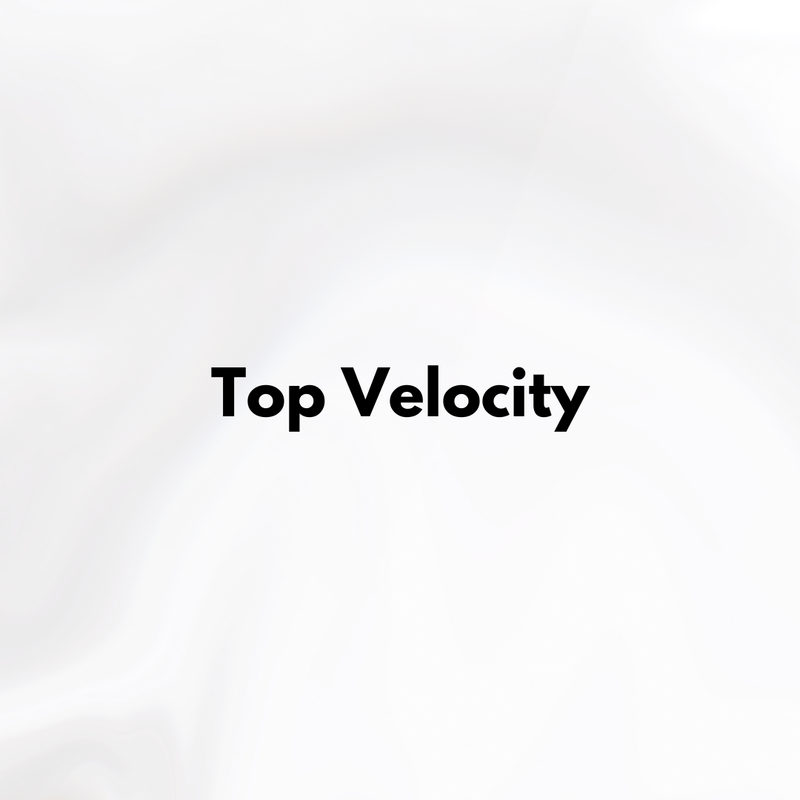 Top Velocity Top Coat image 2