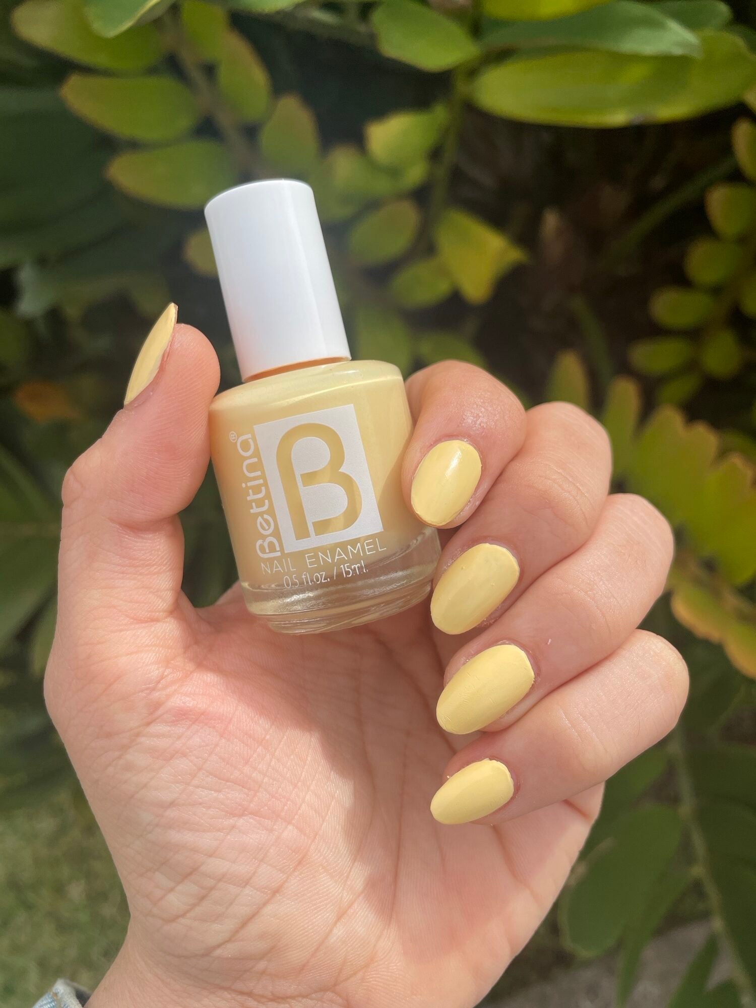 Butter Yellow image 1