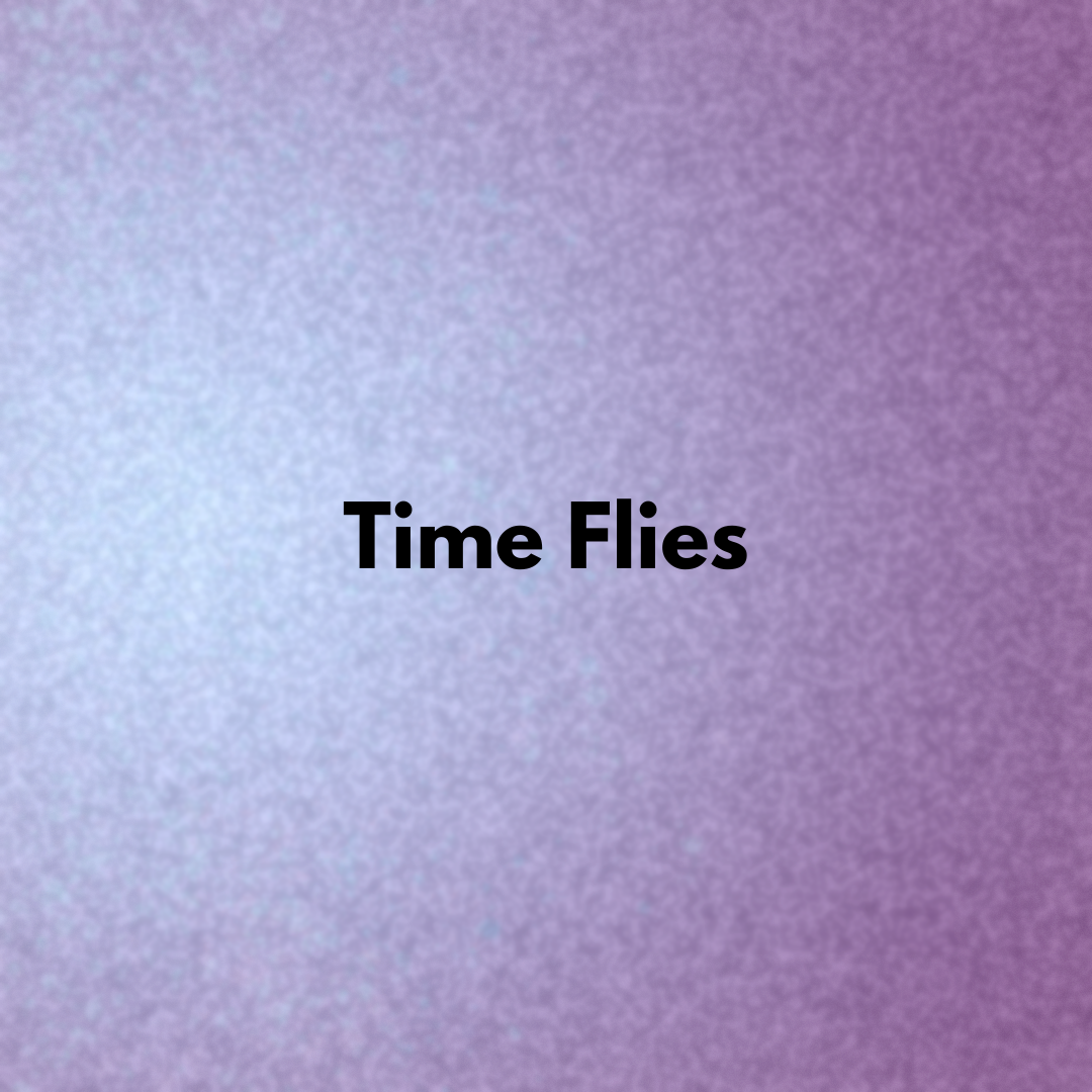 Time Flies image 2