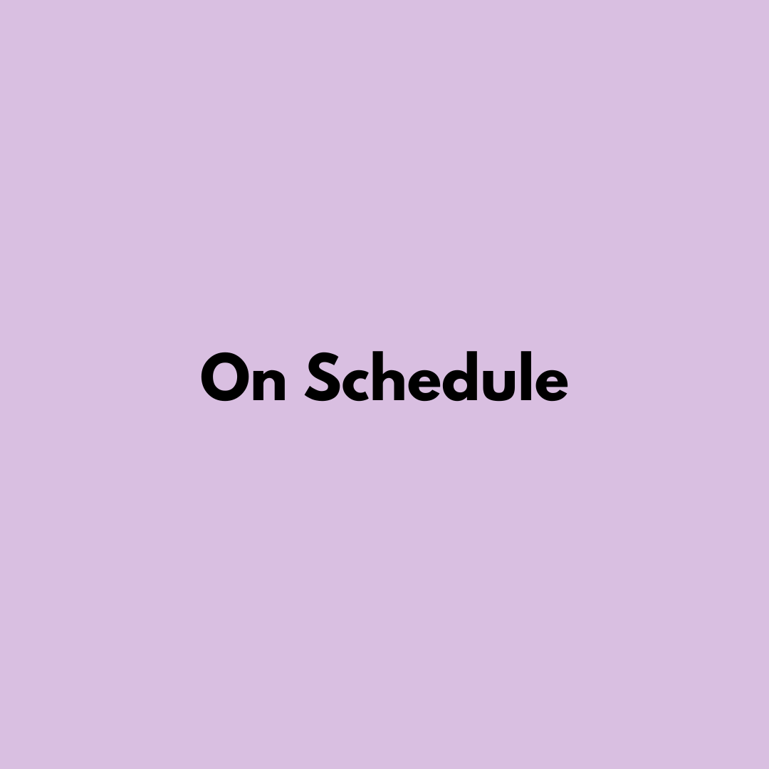 On Schedule image 2