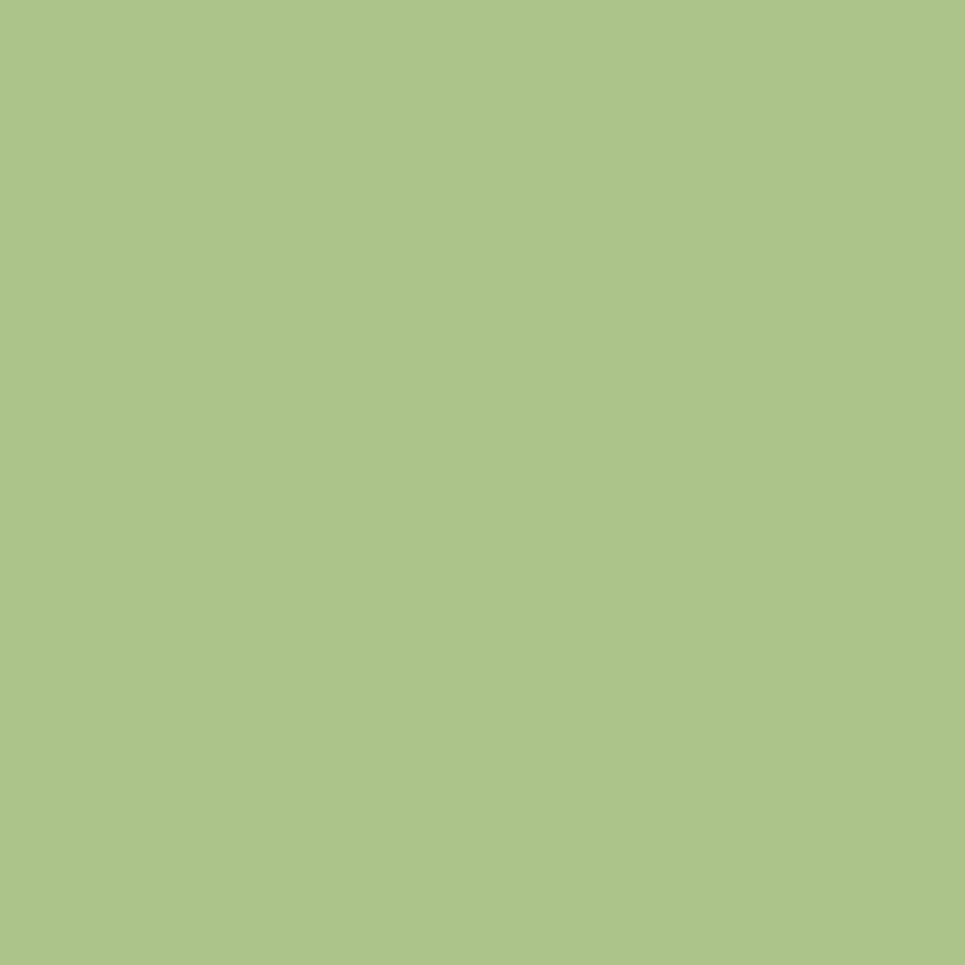 Eco Chic image 1